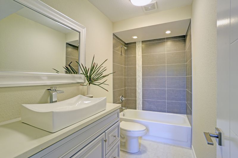 Top Tub To Shower Conversion Companies in Ellicott City, MD